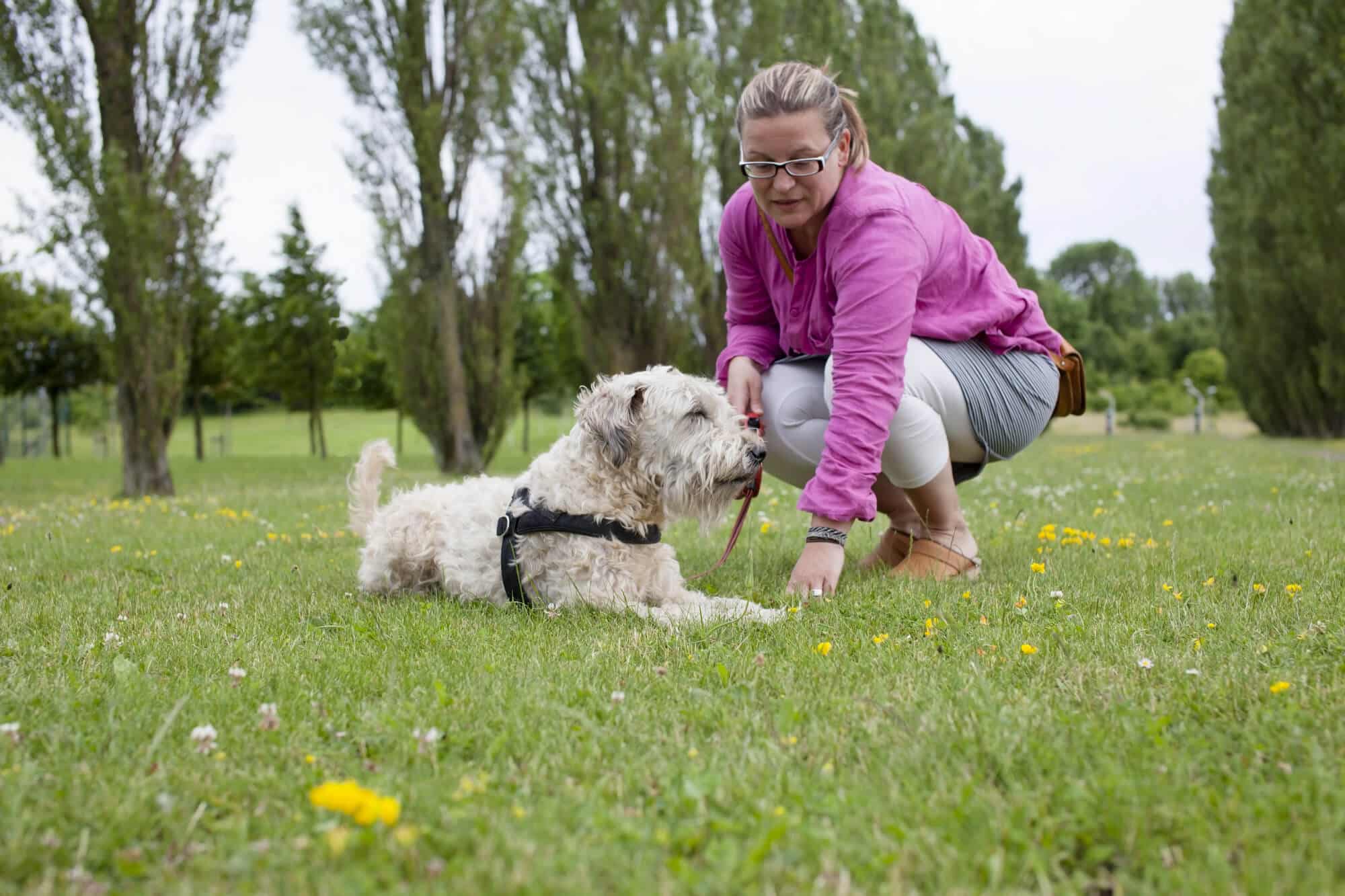 Woman training her dog in park